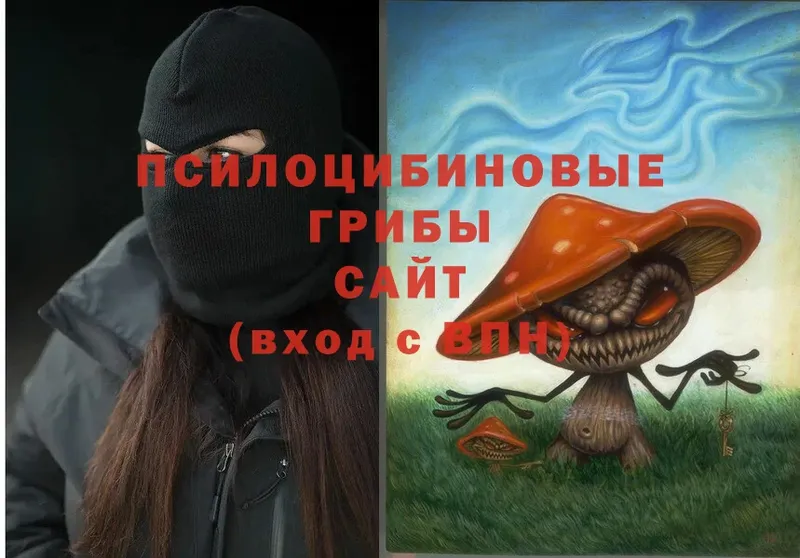 OMG ONION  Новороссийск  Псилоцибиновые грибы Psilocybine cubensis 